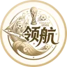 领航国际